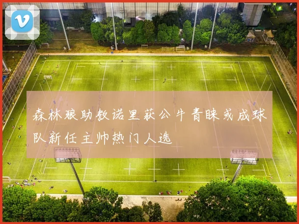 森林狼助教诺里获公牛青睐或成球队新任主帅热门人选